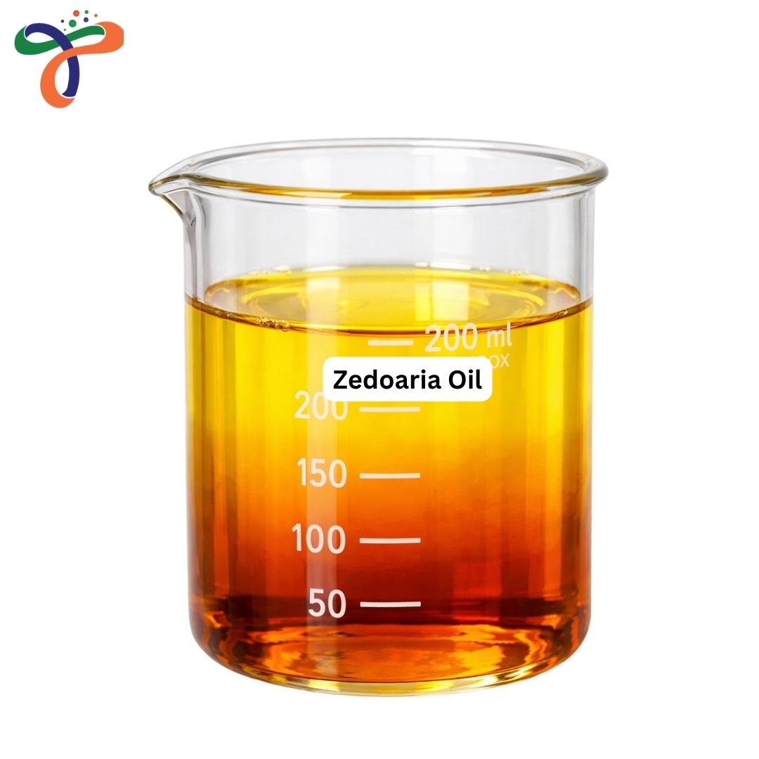 Zedoaria Oil